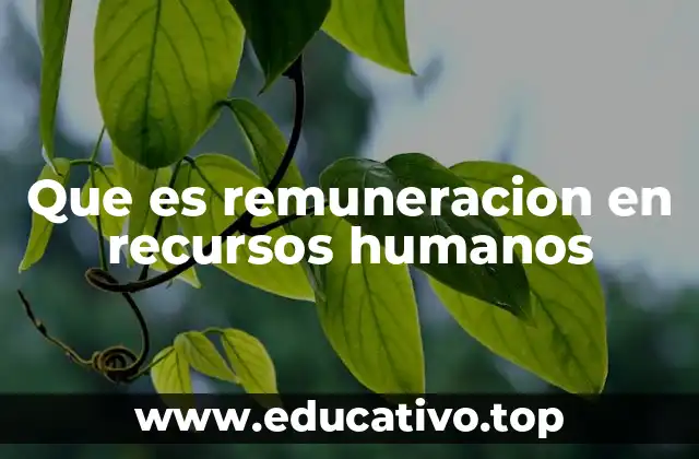 Que es remuneracion en recursos humanos