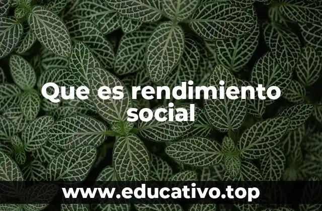 Que es rendimiento social