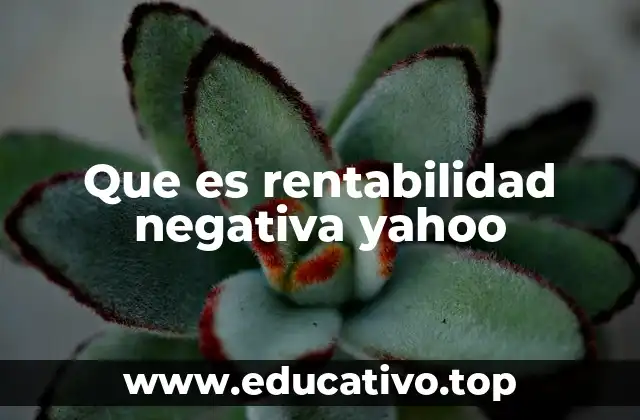 Que es rentabilidad negativa yahoo