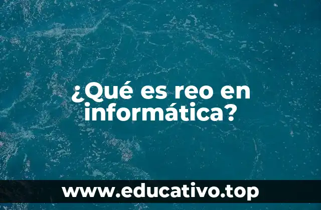 ¿Qué es reo en informática?