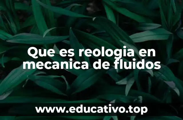 Que es reologia en mecanica de fluidos
