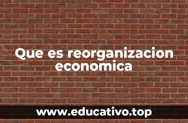 Que es reorganizacion economica