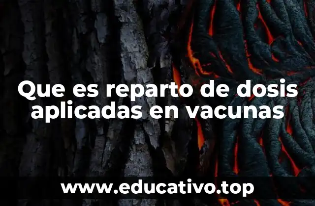 Que es reparto de dosis aplicadas en vacunas