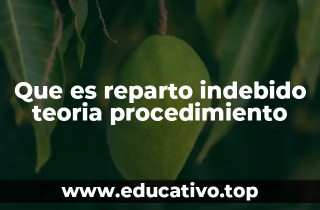 El reparto indebido y su relación con el control judicial