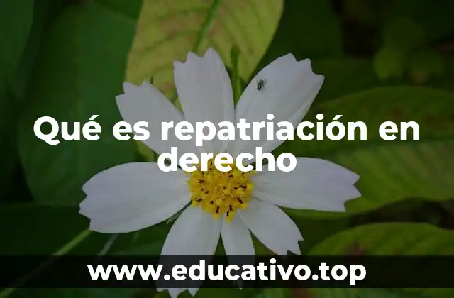Qué es repatriación en derecho