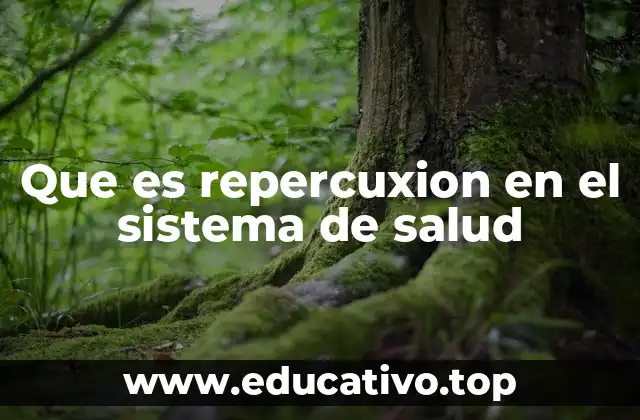 Que es repercuxion en el sistema de salud