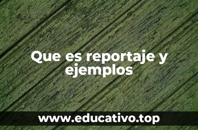 Que es reportaje y ejemplos