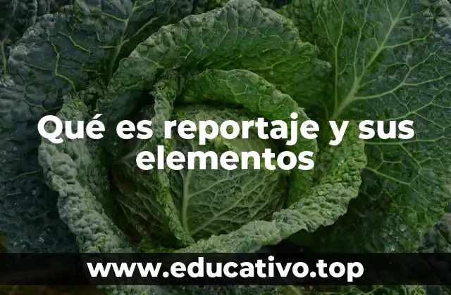 Qué es reportaje y sus elementos