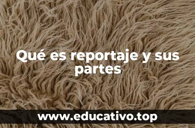Qué es reportaje y sus partes