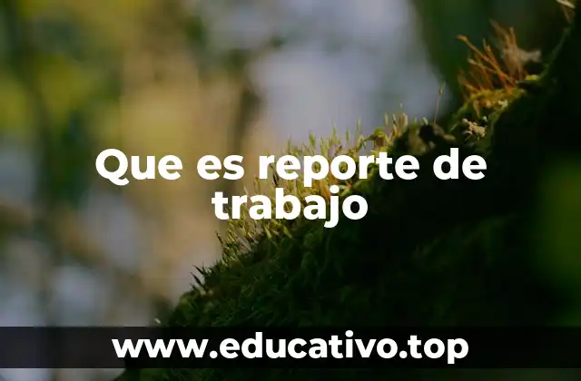 Que es reporte de trabajo