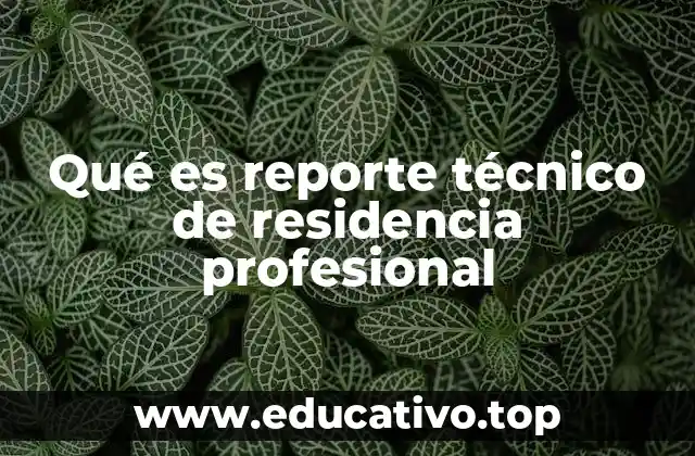 Qué es reporte técnico de residencia profesional