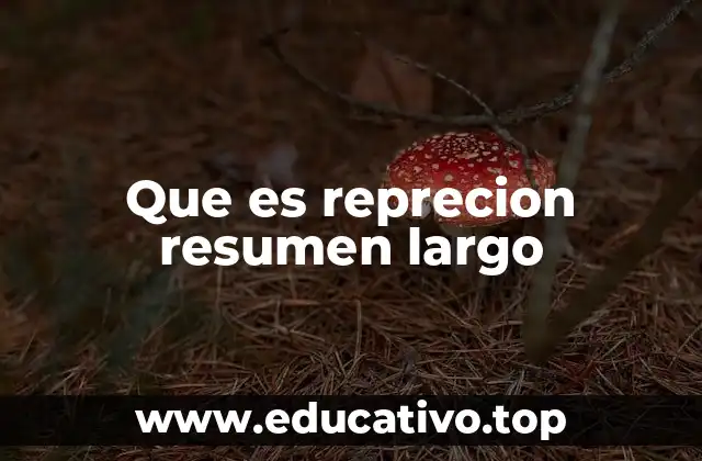Que es reprecion resumen largo