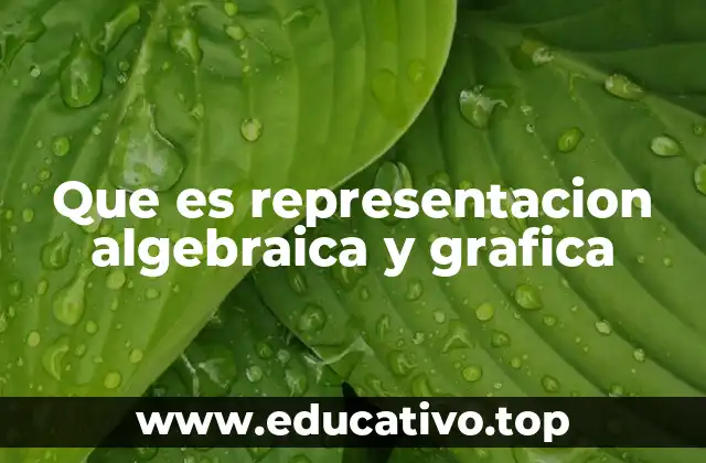 Que es representacion algebraica y grafica