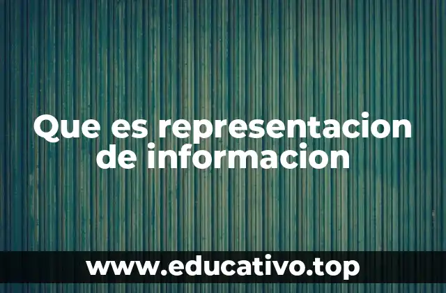 Que es representacion de informacion