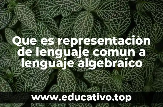 La importancia de la traducción en la resolución de problemas matemáticos