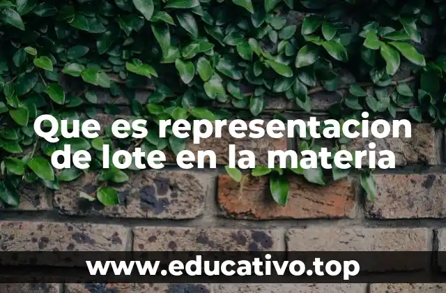 Que es representacion de lote en la materia