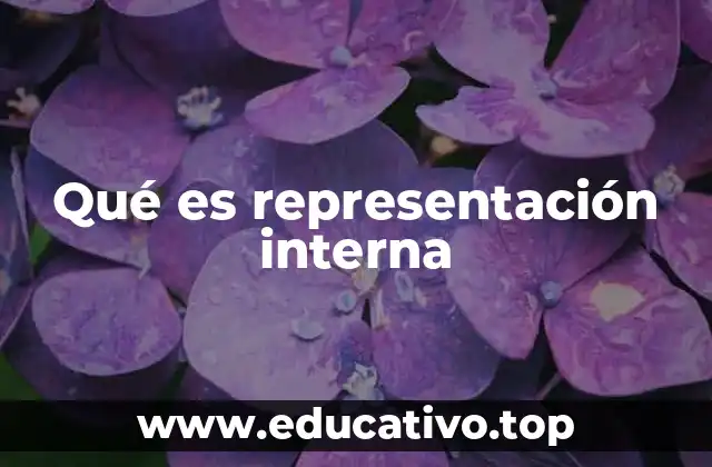 Qué es representación interna