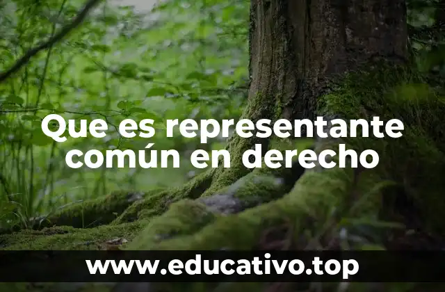 Que es representante común en derecho