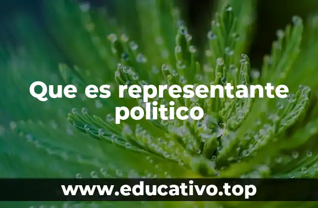 Que es representante politico