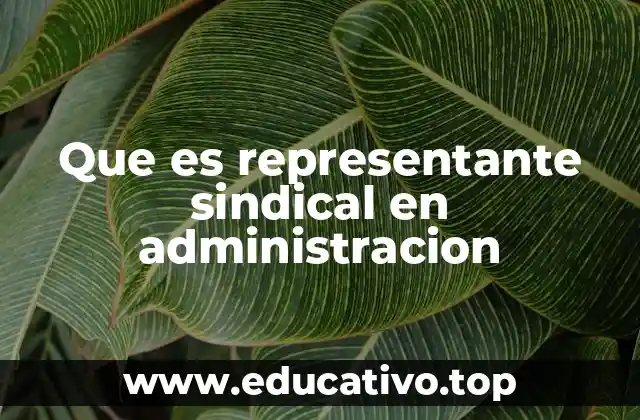 Que es representante sindical en administracion