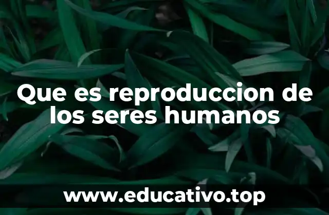 Que es reproduccion de los seres humanos