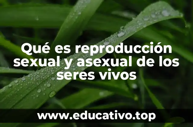 Qué es reproducción sexual y asexual de los seres vivos