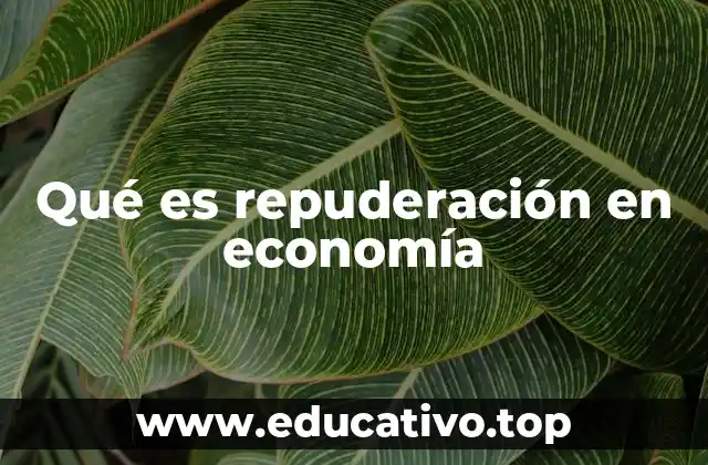 Qué es repuderación en economía