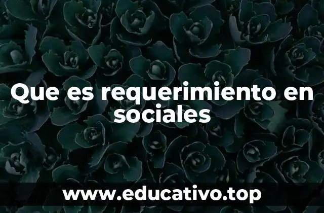 Que es requerimiento en sociales