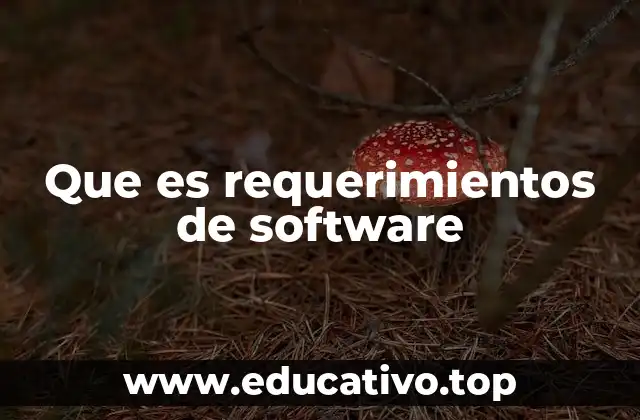 Que es requerimientos de software