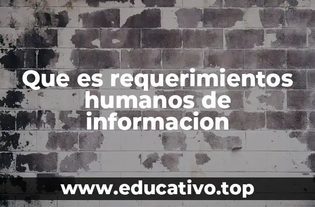 Que es requerimientos humanos de informacion