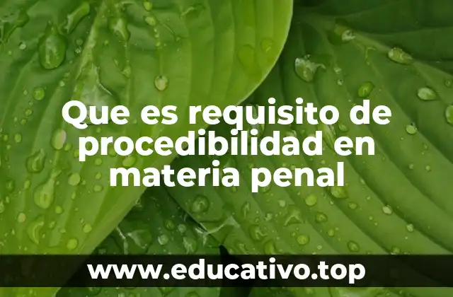 Que es requisito de procedibilidad en materia penal