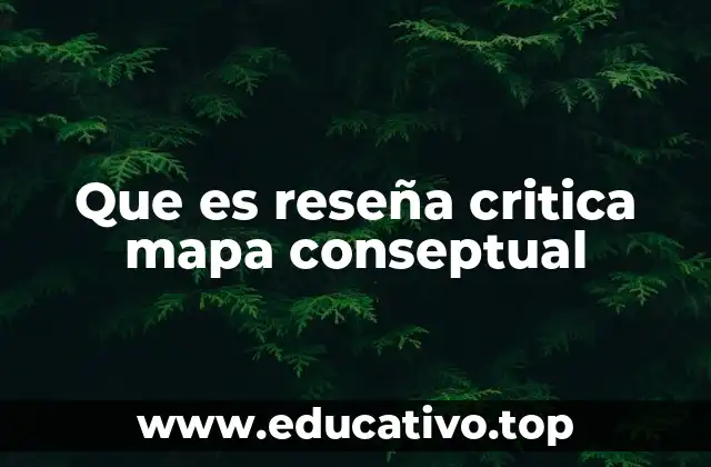 Que es reseña critica mapa conseptual