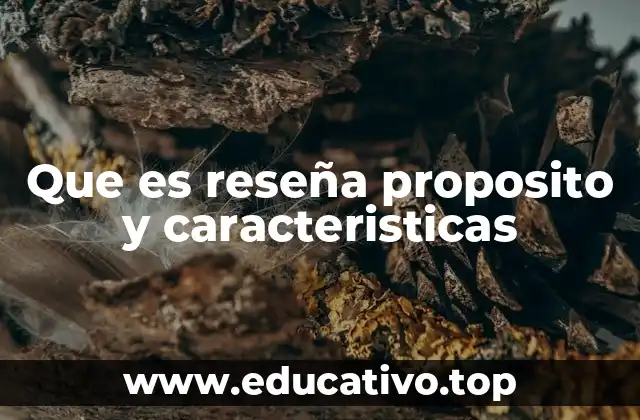 Que es reseña proposito y caracteristicas