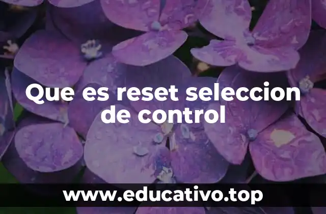 Que es reset seleccion de control