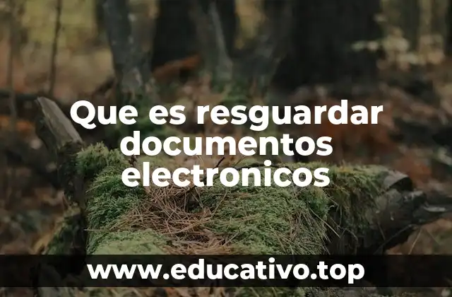 Que es resguardar documentos electronicos