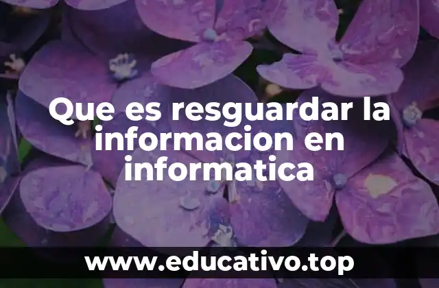 Que es resguardar la informacion en informatica