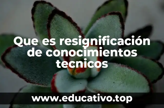 El rol de la adaptación en la evolución técnica