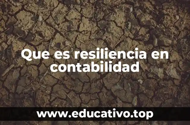 Que es resiliencia en contabilidad