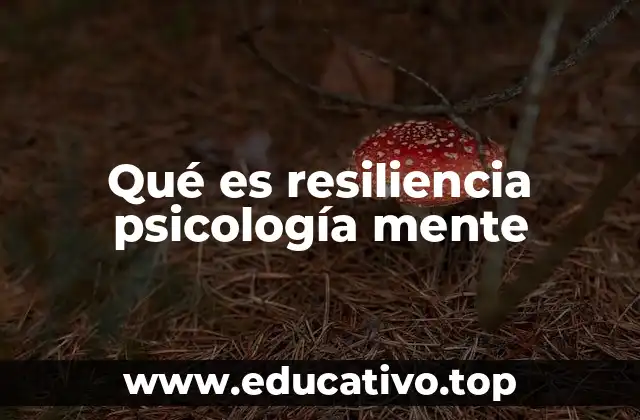 Qué es resiliencia psicología mente