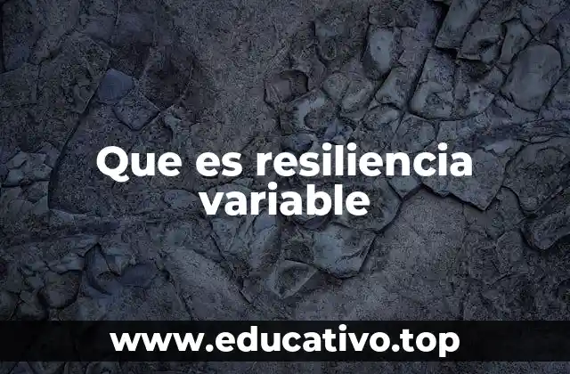 Que es resiliencia variable