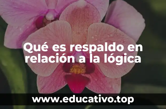 Qué es respaldo en relación a la lógica