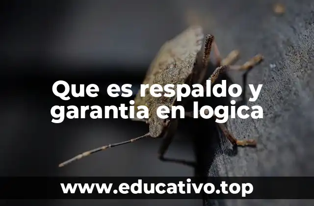 Que es respaldo y garantia en logica