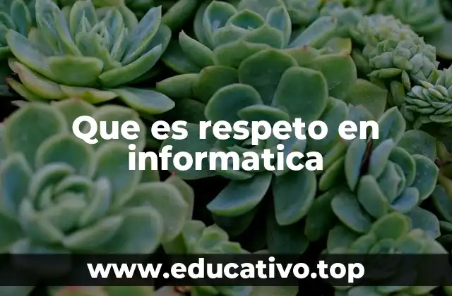 Que es respeto en informatica