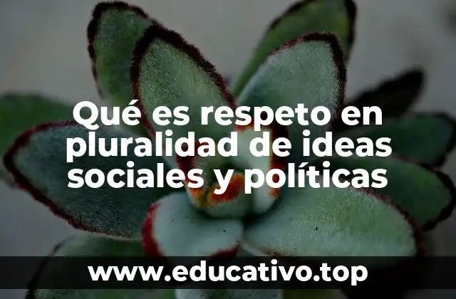 Qué es respeto en pluralidad de ideas sociales y políticas
