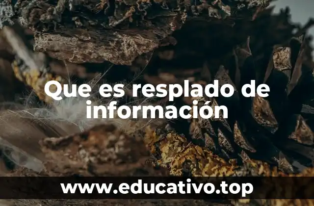 Que es resplado de información