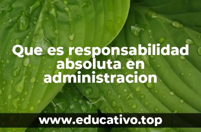 Que es responsabilidad absoluta en administracion