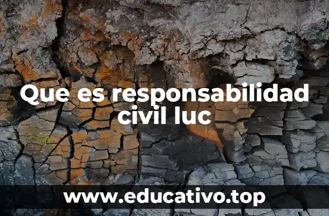 Que es responsabilidad civil luc