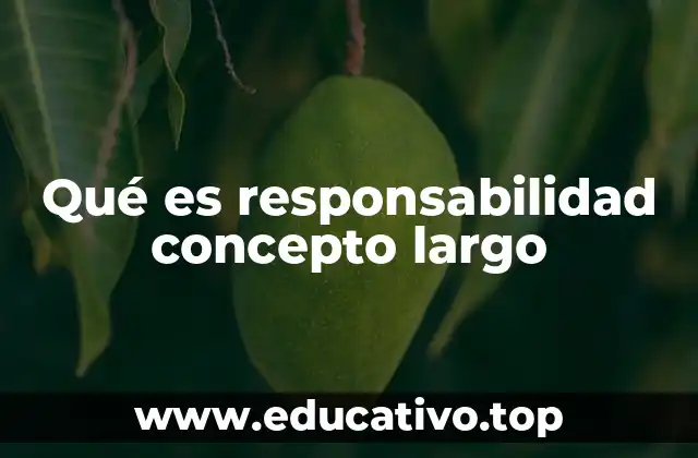 Qué es responsabilidad concepto largo