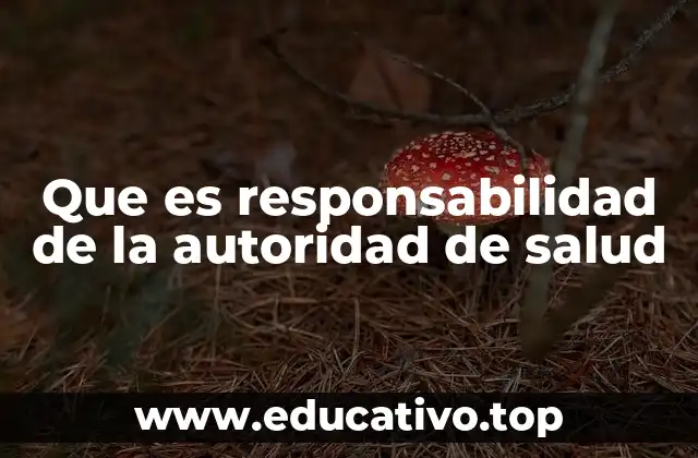 Que es responsabilidad de la autoridad de salud