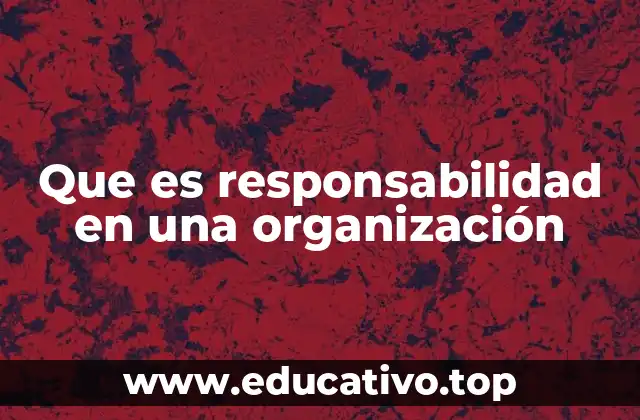 Que es responsabilidad en una organización
